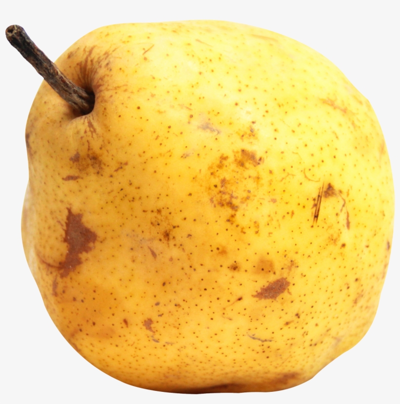 Pear Fruit Png Transparent Image - Portable Network Graphics, transparent png #2792080