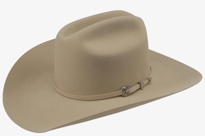 American Hat 20x - Dark Belly American Hat, transparent png #2792429