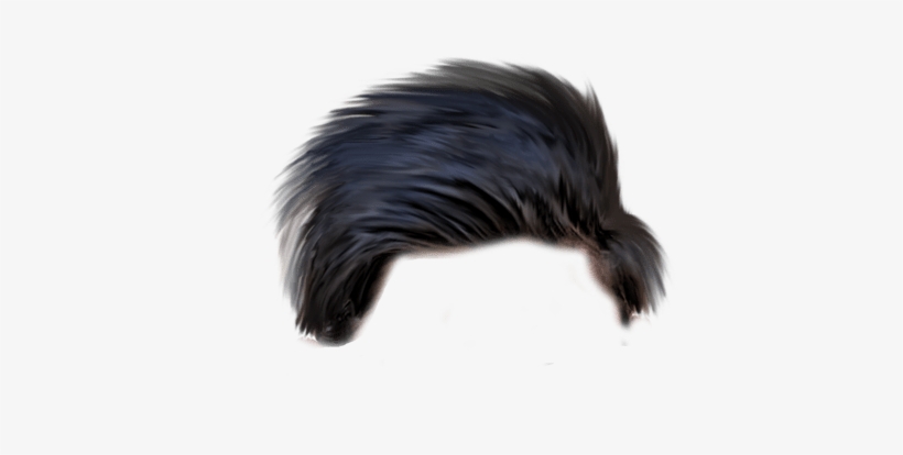 Hairstyles Png Transparent Images - All Types Hair Png - Free Transparent PNG Download - PNGkey Hairstyles Png Transparent Images - All Types Hair Png - Free Transparent PNG Download - PNGkey