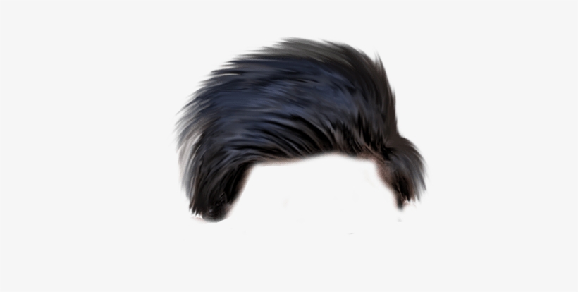 Hairstyles Png Transparent Images - All Types Hair Png, transparent png #2792862