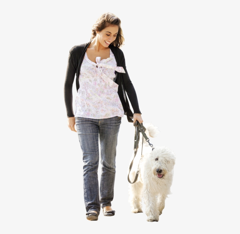 Contactus Girlanddog - Dog, transparent png #2793566