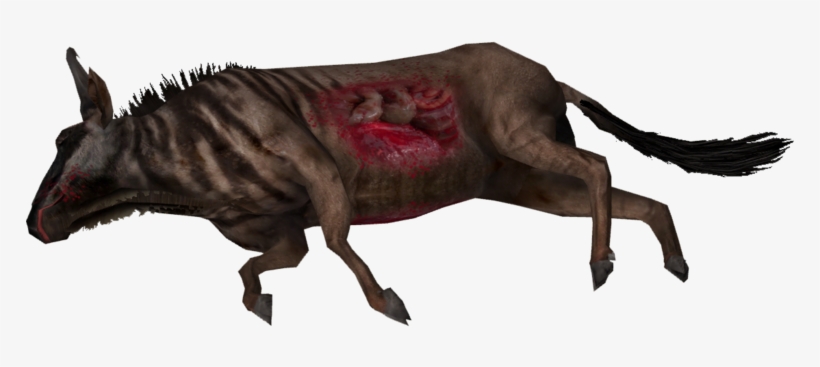 240 × 240 Pixels - Camarasaurus, transparent png #2793569