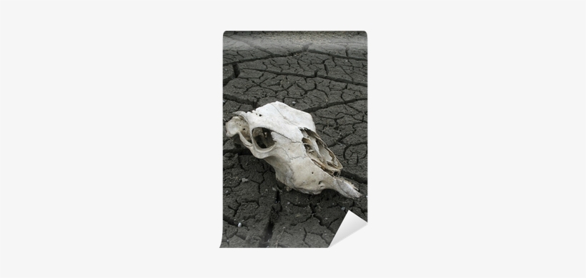 Global Warming, transparent png #2793770