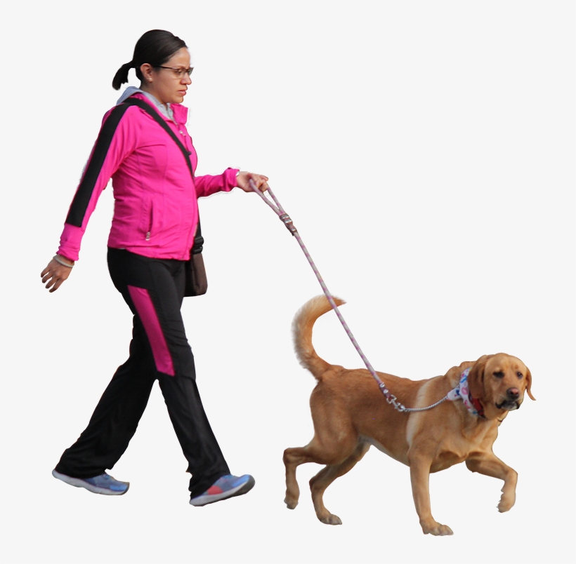 Walking Dog Png - Escala Latina Png, transparent png #2793825