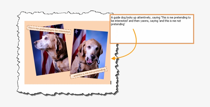 A Picture Shows A Guide Dog In Two Distinct Poses With - Alt Text Example, transparent png #2793881