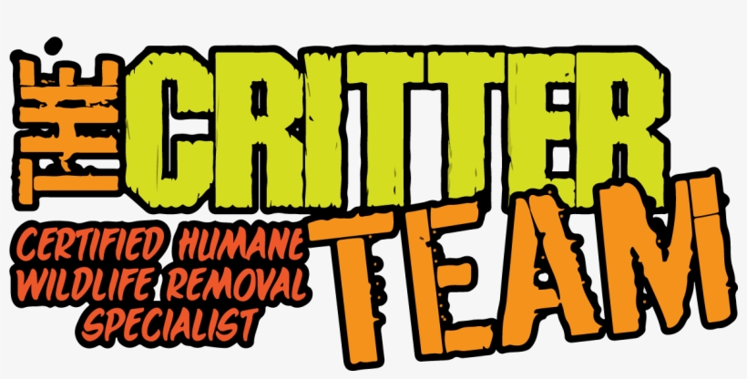 Dead Animal Removal Services - The Critter Team, transparent png #2793974