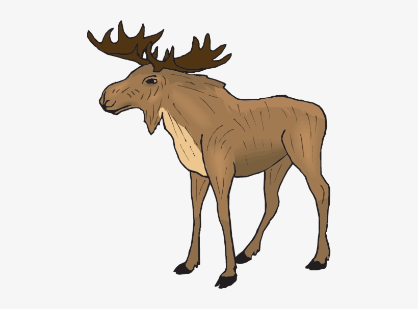 Moose - Clipart Moose, transparent png #2794239