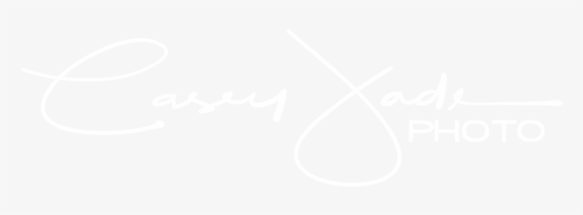 Camera Flash Png - Ps4 Logo White Transparent, transparent png #2794429
