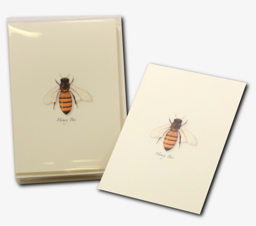 Shopping Cart -  -  - Honeybee, transparent png #2795118