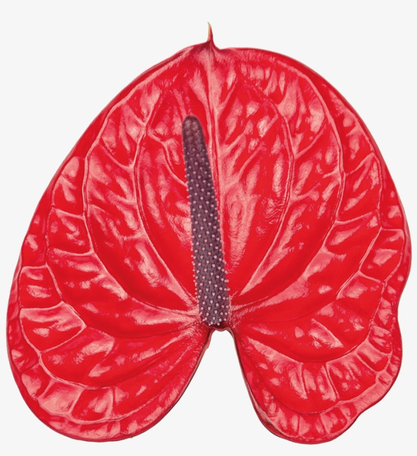 Bugatti Veyron Kwiat - Pomelo, transparent png #2795539