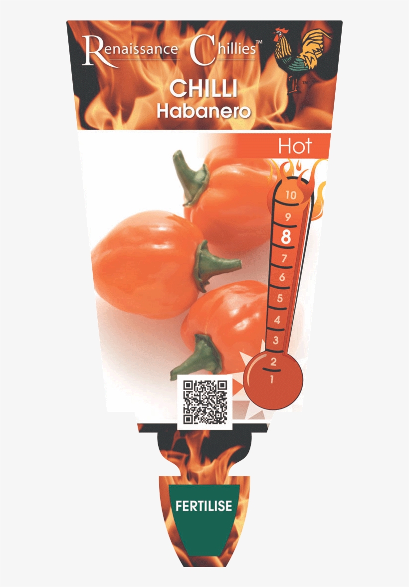 Chilli 'habanero' - Poster, transparent png #2796224