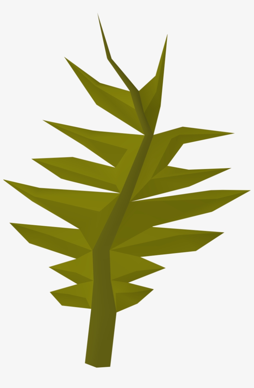 Seaweed Clipart Swamp - Wiki, transparent png #2796504