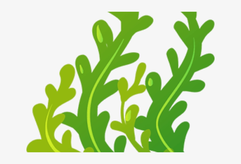Seaweed Cliparts - Clip Art, transparent png #2796507