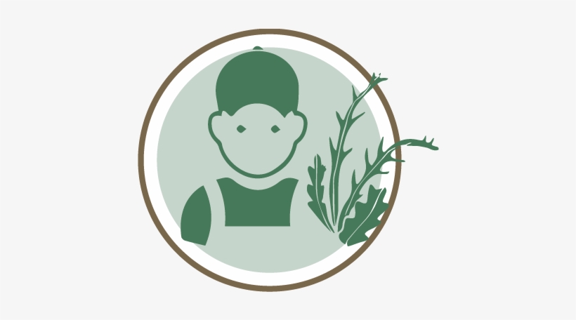 Increasing Farmer's Income - Illustration, transparent png #2796682