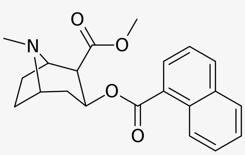Cocaine Analog - Nh2 Bdc, transparent png #280033