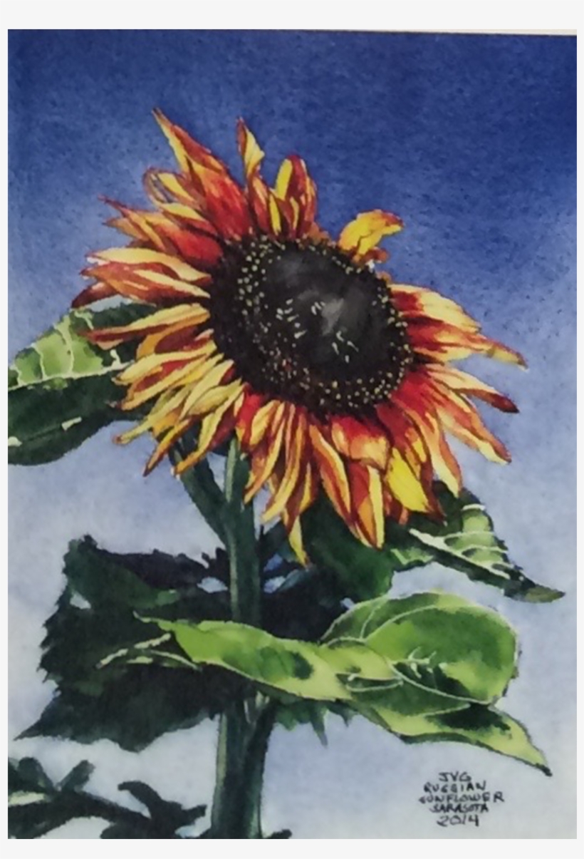 Cjg-02 - Sunflower, transparent png #280201