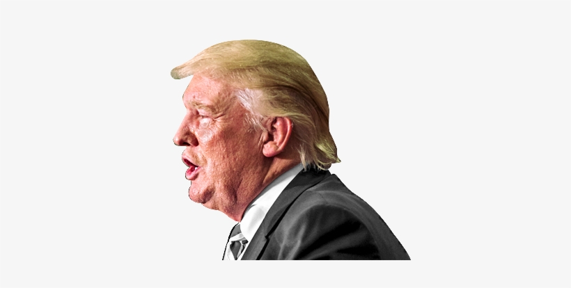Trump - Donald Trump Fondo Blanco, transparent png #280474