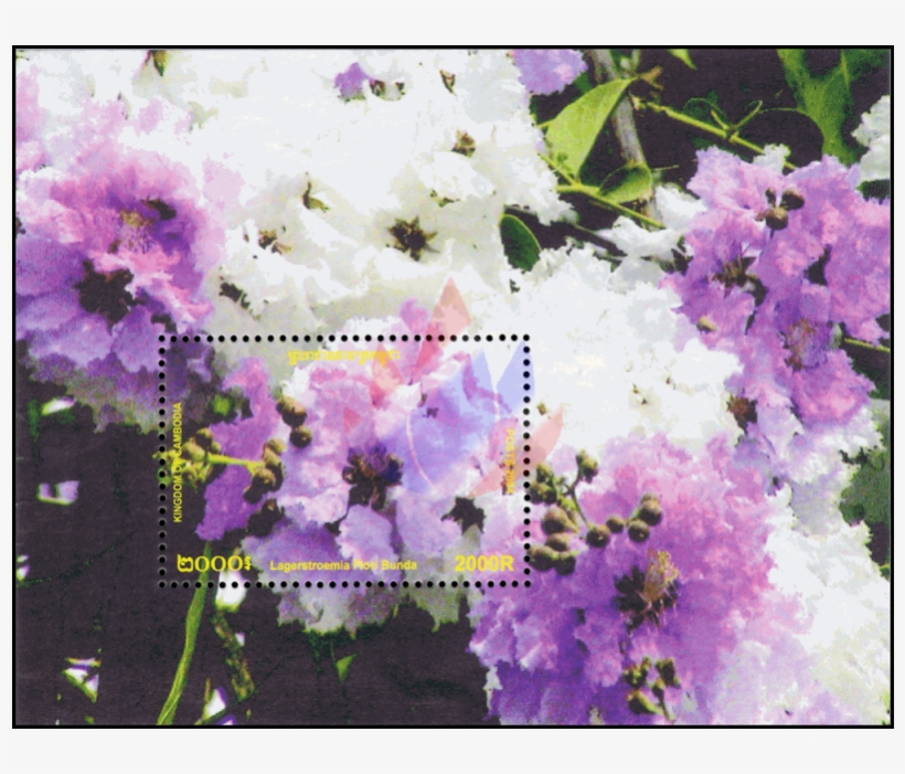 Flowering Shrubs And Trees - Tree, transparent png #280688