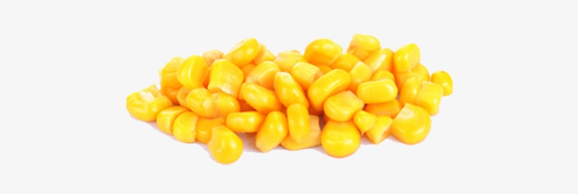 Corn Kernel Png Graphic - Corn Kernels Png, transparent png #281013