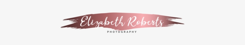 Photography Ii Logo & Branding Kit - Logo, transparent png #281079