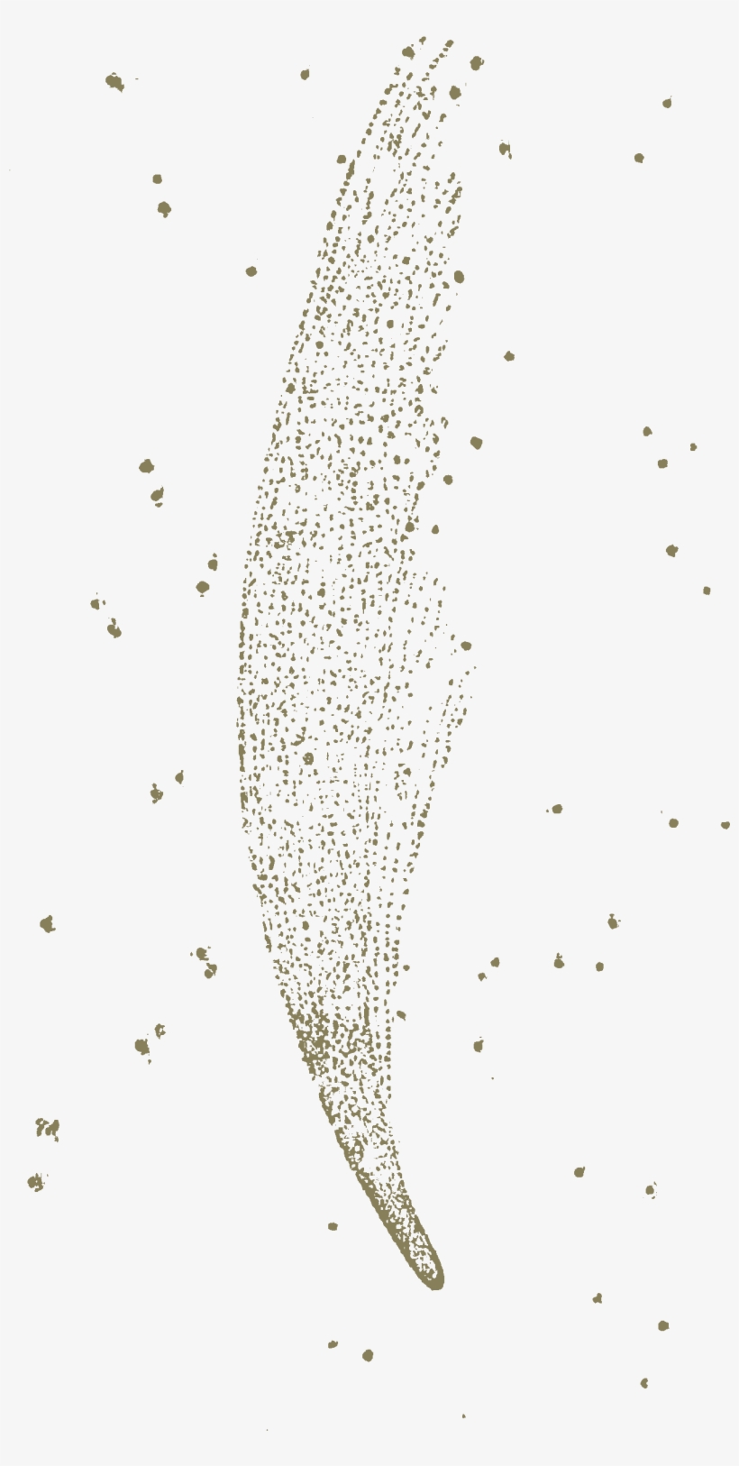 Carroll Phantasmagoria Donati Comet - Illustration, transparent png #281778