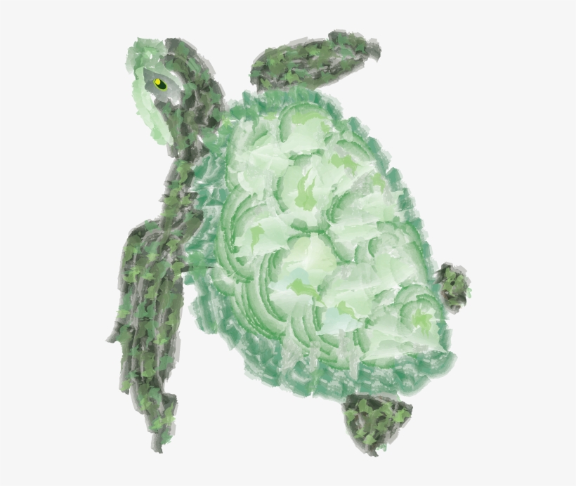 Watercolor Graphic - Red Eared Slider, transparent png #281997