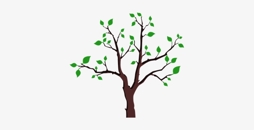 Branches Green Laurie 1 Leaf Leaves Plant Gambar Ranting Pohon Kartun Free Transparent Png Download Pngkey