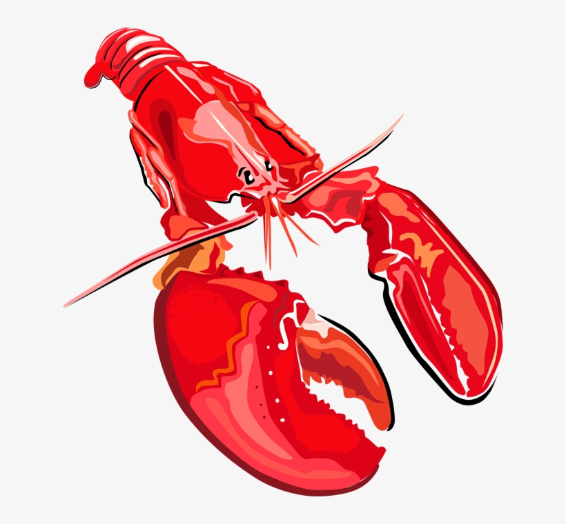 Lobster - Clipart Library - Clipart Library - Lobster Clipart Transparent, transparent png #282594