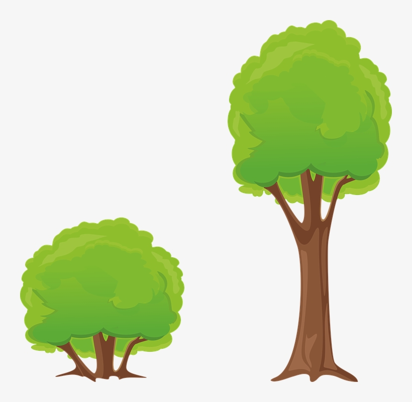 Tree Bush Clipart - Bush Clipart, transparent png #282640