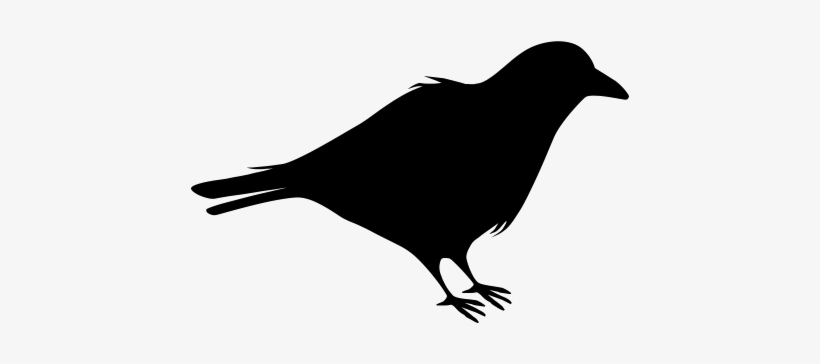 Halloween Crow Png Image Transparent - Raven Clipart Black And White Png, transparent png #283105