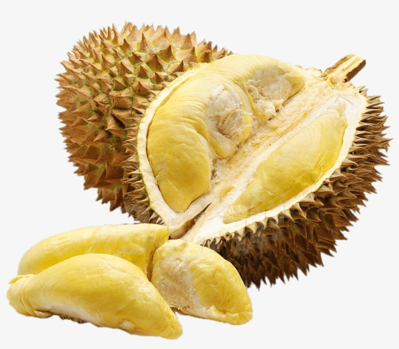 Inside Of Durian - Durian Fruits, transparent png #283418