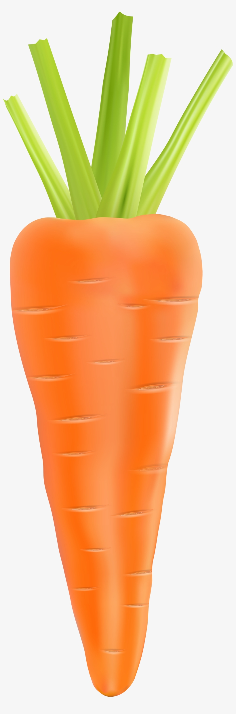 Clipart Vegetables Carrot - Transparent Background Carrot .png, transparent png #283576