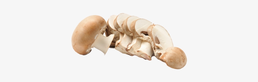 Sliced Mushroom - Chopped Mushroom Slices Png, transparent png #284182