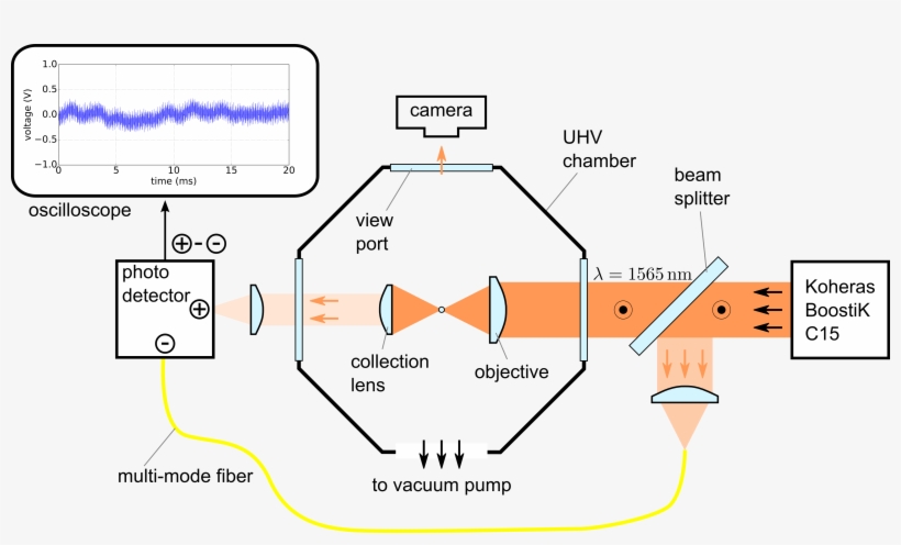 A Diameter Of About 100 Nm Is Optically Trapped By - Diagram, transparent png #284342