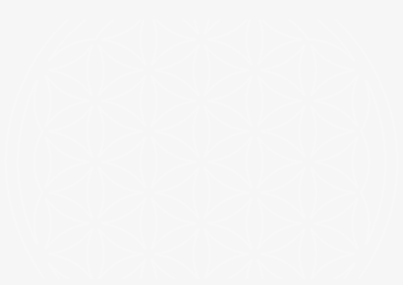 Flower Of Life - Nba Finals Logo White, transparent png #284647