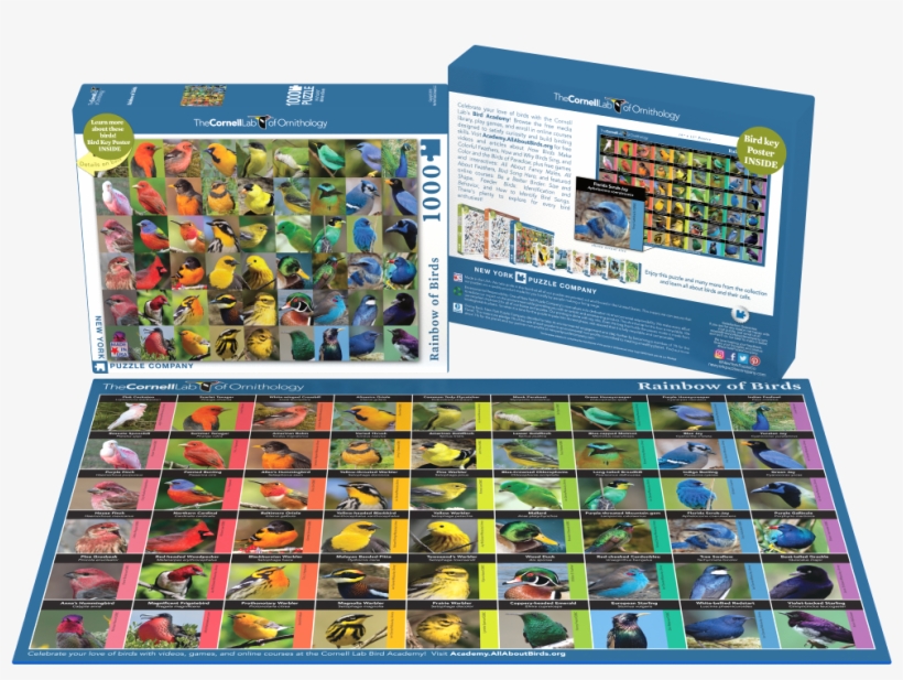 Birds Of North America Puzzles - Birds Of North America, transparent png #284848