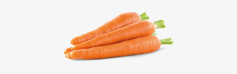 Carrot Hd Transparent Images Clip Royalty Free - Fresh Carrots, transparent png #285042