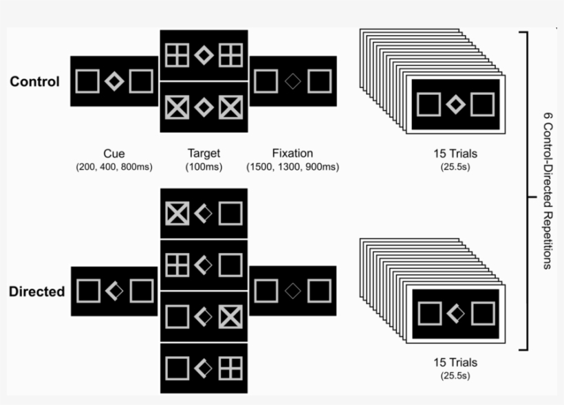 Attentional Variant Of The Go-nogo Task With Two Trial - Shed, transparent png #285155