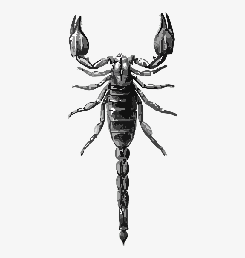 Diplocenthus Keiserlingi - Animated Scorpion, transparent png #285500