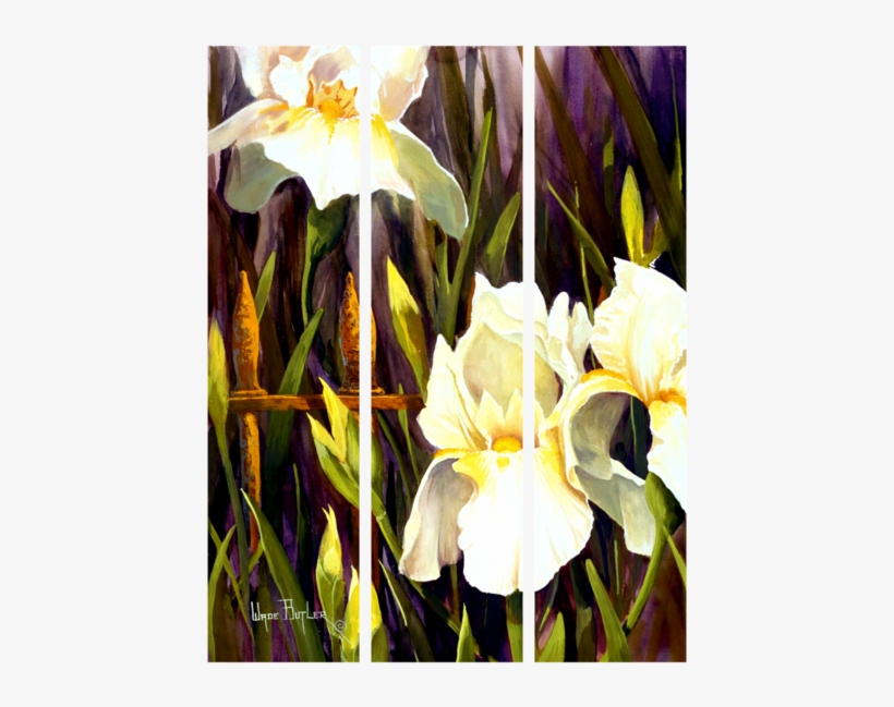 White Iris Triptych - Art, transparent png #285878