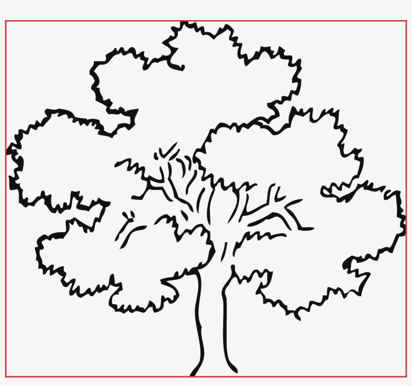 Line Drawing Tree At Getdrawings - Easy Oak Tree Drawing, transparent png #285879