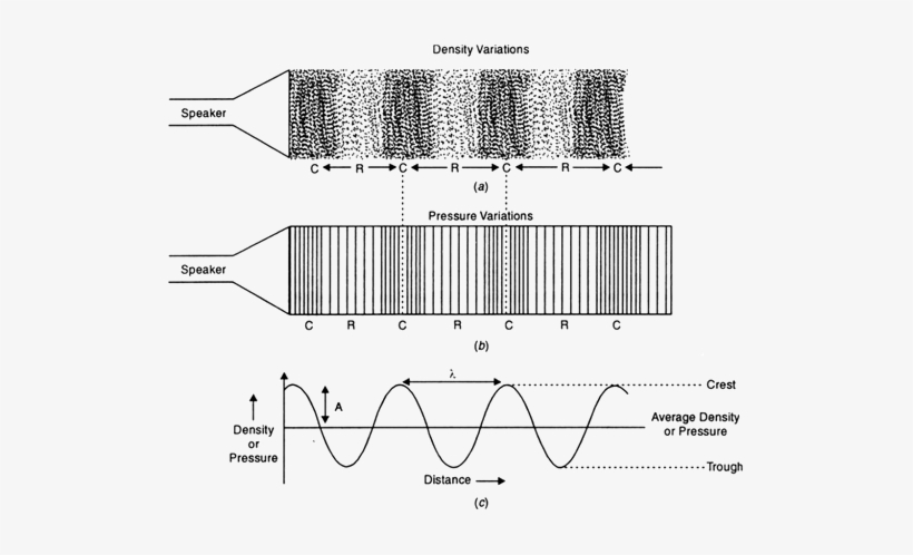 Graphical Representation Of A Longitudinal Wave - Graphical Representation Of Longitudinal Wave, transparent png #286093