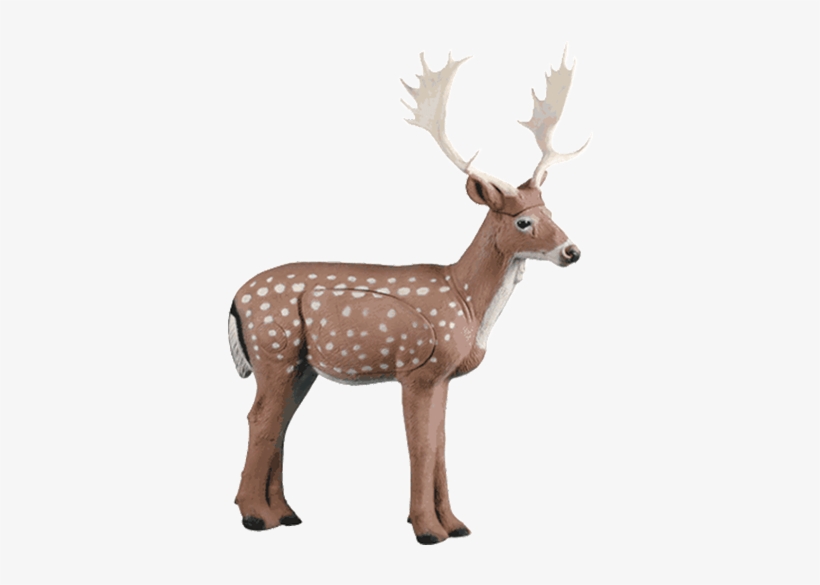 Fallow Deer - Rinehart Targets Rinehart Fallow Deer 3-d Foam Archery, transparent png #286544