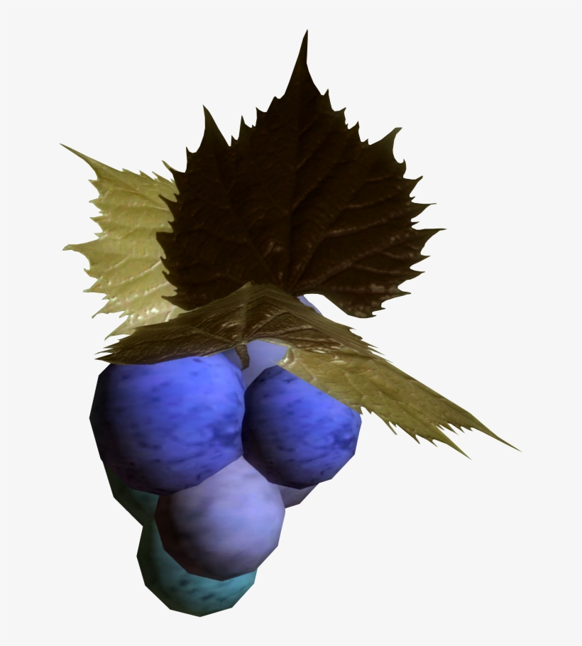 Jazbay Grapes Skyrim - Skyrim Grapes, transparent png #286880
