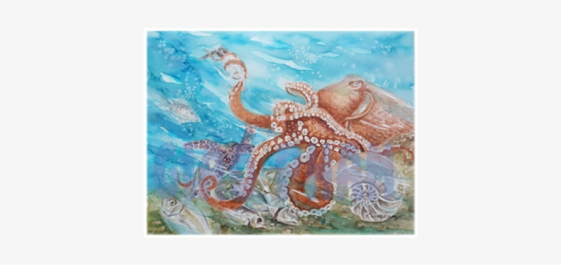 Octopus, transparent png #287398