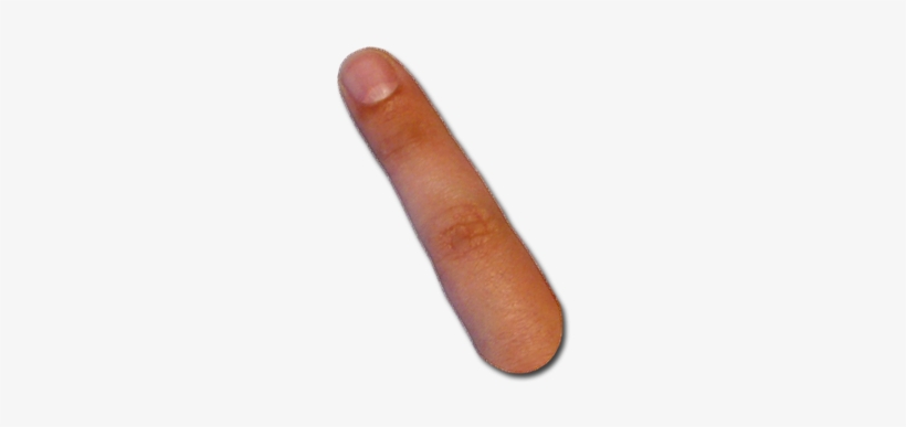 All Prescott Computer Guy Cursors In A Zipped Folder - Macro Photography, transparent png #287519