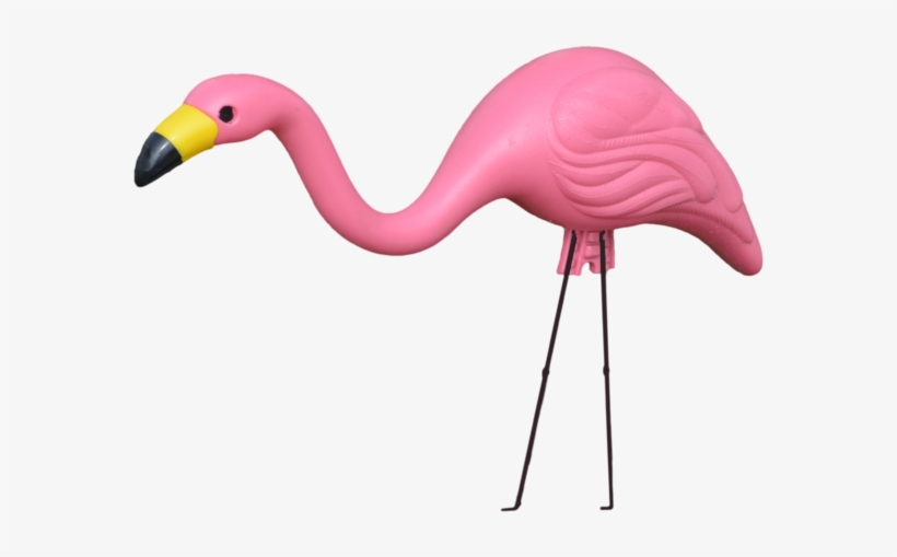 Plastic Flamingo Png - Lawn Flamingo Transparent, transparent png #287547