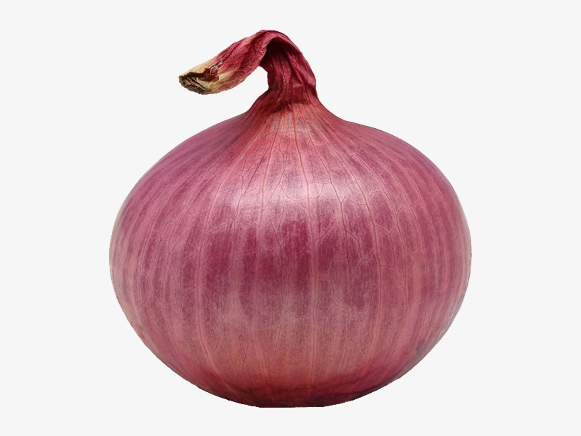 Single Onion Png Download Image - Download, transparent png #287690