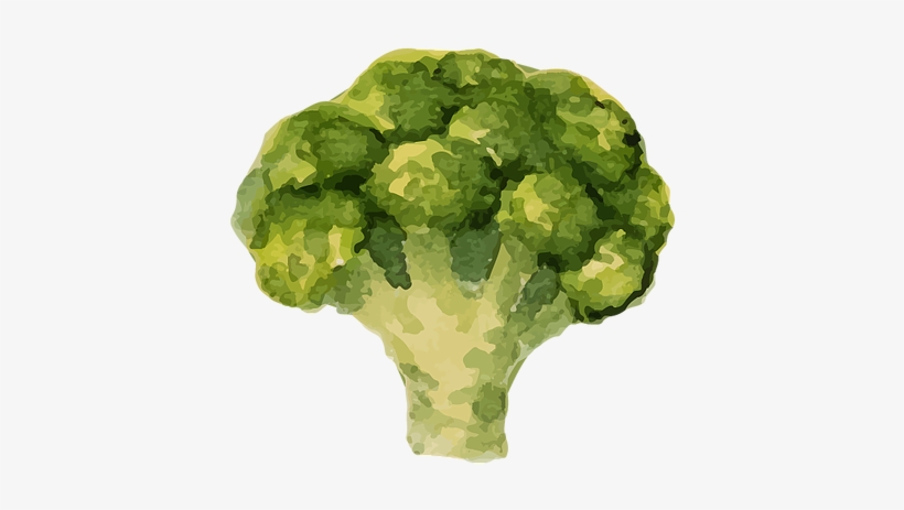 Benefits Of Eating Health, For Kids - Vegetable, transparent png #287867