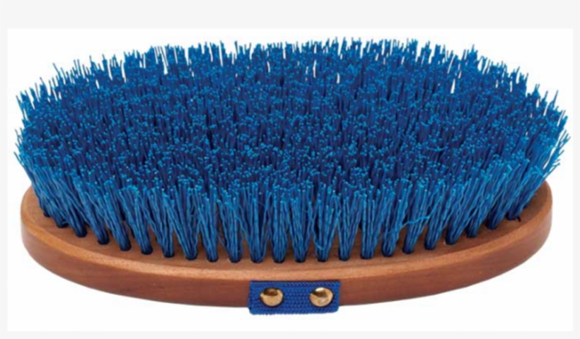 Horse Hard Brush Png, transparent png #288175